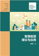 Theory and Application of Smart Energy